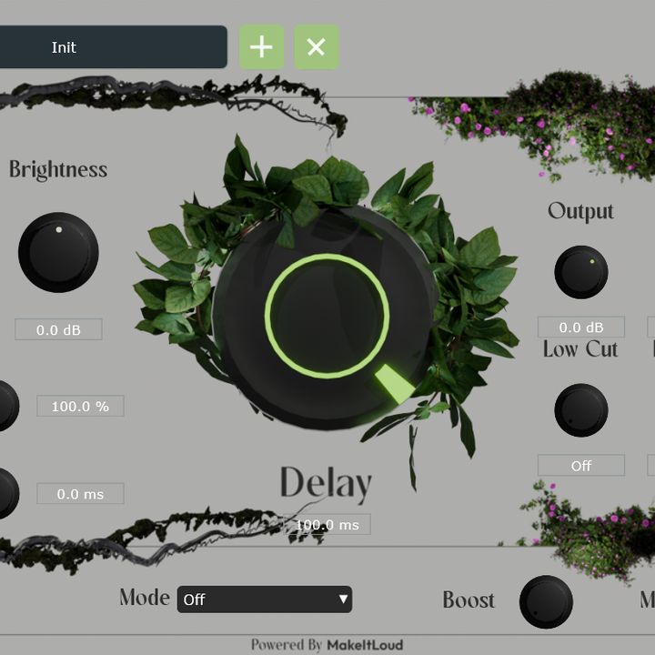 Chasm plugin interface - a large black delay knob on a grey panel